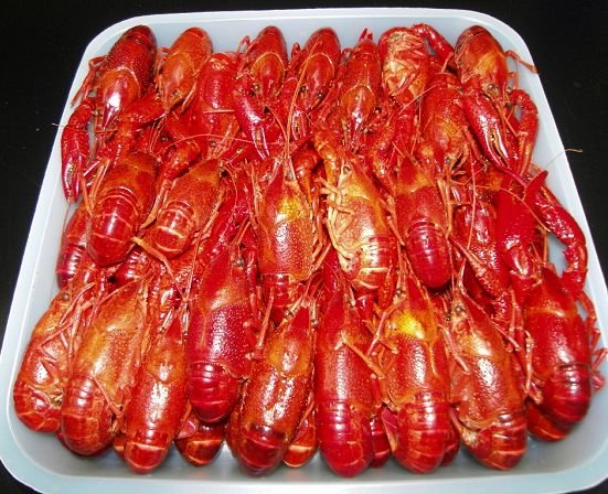 Crayfish "à la Nage"