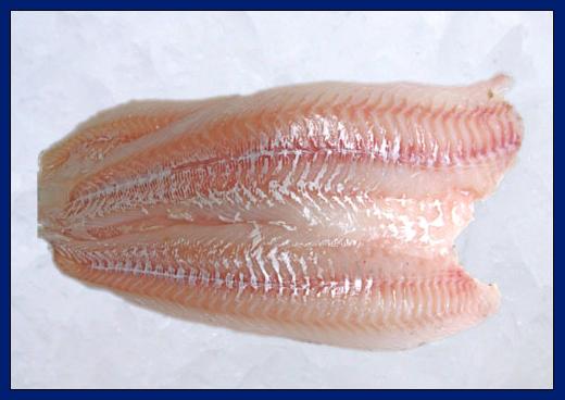 Cod fillet   200/400