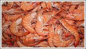 Crevettes cuites 40/60